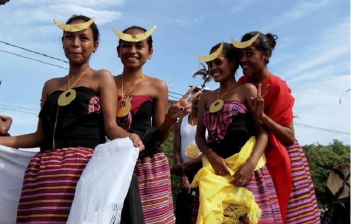 Siapkan 77 Ekor Kerbau, Belis Untuk Meminang Gadis Timor Leste