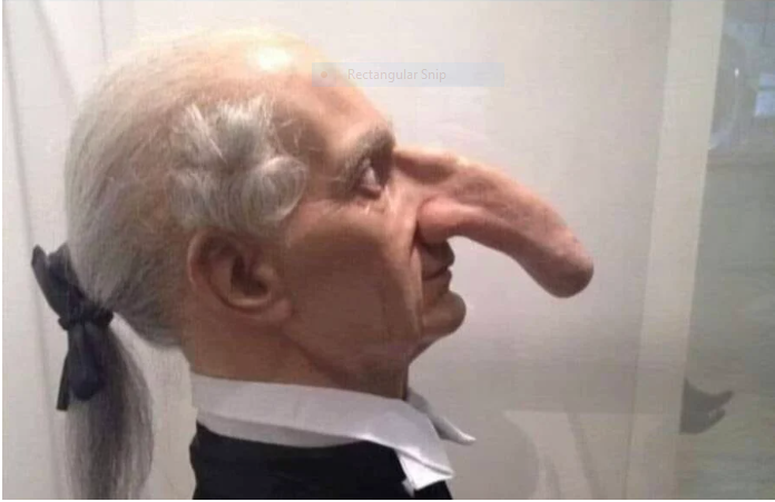 Pria Ini Punya Hidung Terpanjang di Dunia yang Membuatnya Terkenal