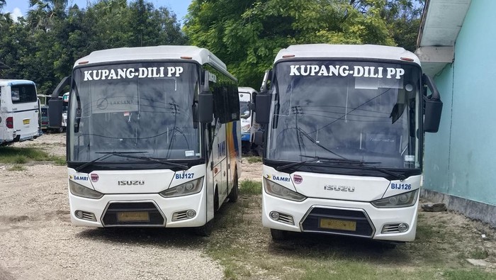 Bus Antar Lintas Batas Negara Kupang-Dili Tak Layani Penumpang Turun di TTU dan Belu Turun di TTU dan Belu