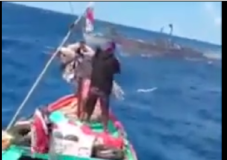 Kapal Nelayan Tenggelam di Pantai Cilacap, Dua ABK Ditemukan dan 11 Lainnya Hilang