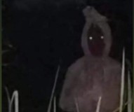 Penampakan Hantu Pocong di Lampung, Indonesia Viral di Jagat Maya, ini Benar-benar Terjadi Bukan Prank