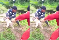 Tertawa-tawa Lempar Anjing Penuh Buaya, Erich Thohir Minta Pertamina Bertindak Tegas