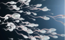 Hanya 14,4 Persen Pria Usia 21 di Australia Punya Sperma Standar WHO