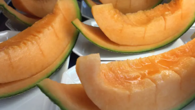 Mengungkap Manfaat Kesehatan Tersembunyi Buah Melon yang Tidak Sombong