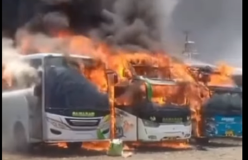 Lima Bus Milik PT Sahabat Ludes Terbakar, Saat Diparkir Bersama di Area Parkiran Perusahaan