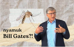 Para Ilmuwan Masih Pro-kontra, Pj Gubernur Bali Tunda Pelepasan Nyamuk Bill Gates
