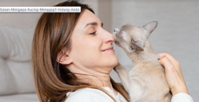 Mengapa Kucing Menggigit Hidung atau Dagu Anda, Simak Penjelasan Ahli