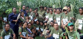 Penanaman Satu Hektar Sorgum di Oecusse Ambeno Timor Leste Membuahkan Hasil Menggembirakan