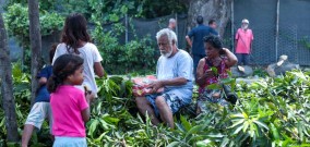 Di Luar Jam Kerja PM Timor Leste, Bercelana Pendek Turut Menebang Pohon Bersama Penduduk