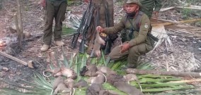 Menangkap Satwal Langka di Taman Nasional Nino Konis Santana Timor Leste, 8 Orang Ditahan Polisi Hutan