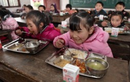 Amerika Sudah Terapkan Makan di Sekolah Gratis, Indonesia Masih Pro Kontra 