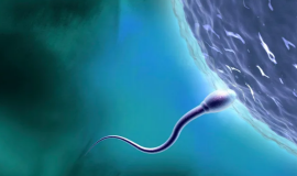 Suhu Meningkat Jumlah Sperma Pria Menurun 