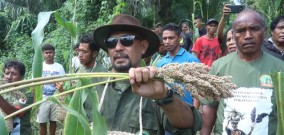 Petani Kotamadya Baucau Akan Lebih Semangat Jika Pemerintah Timor Leste Menciptakan Pasar Bafo Kayrala