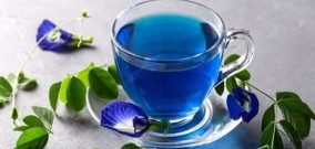 Bunga Telang Kaya akan Antioksidan Disebut Teh Biru, Lagi Ngetren dan Bermanfaat untuk Kesehatan