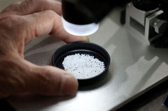 Mikroplastik Ditemukan di Testis Manusia, Turunkan Jumlah Sperma