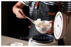WHO Kelurkan Peringatan Jangan Pakai Rice Cooker, Dapat Sebabkan Kanker