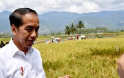 Joko Widodo Luncurkan Peraturan Presiden tentang Percepatan Pembangunan IKN