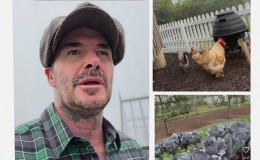 David Beckham Setelah Pensiun Menjadi Petani dan Beternak Ayam