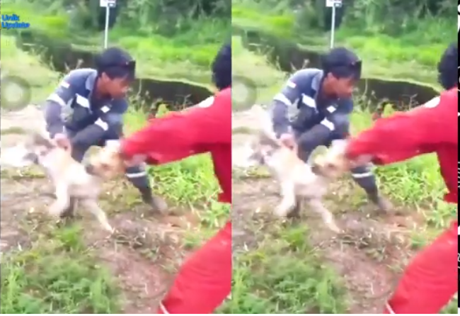 Lempar Anjing ke Sungai Penuh Buaya