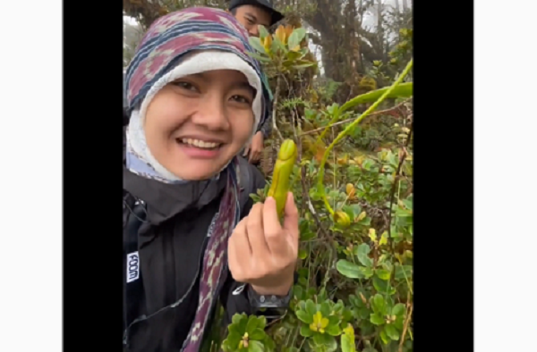 Temukan Bunga kantong Semau Paling Aneh