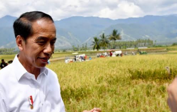 Jokowi 